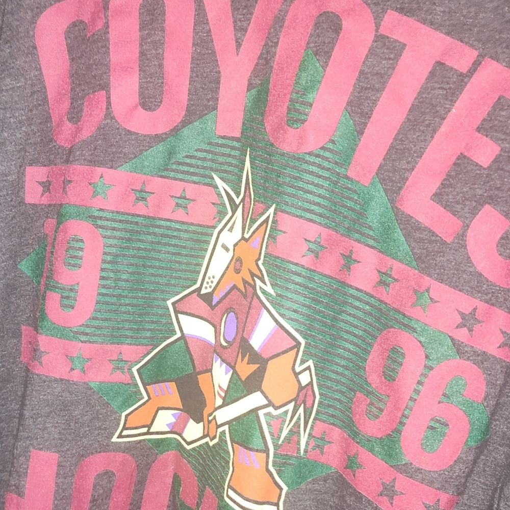 Coyotes Graphic Kids T-Shirt - Gray